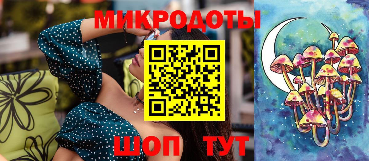 Псилоцибиновые грибы мицелий Ессентуки